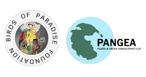 Pangea Flora and Fauna Consultancy LLP