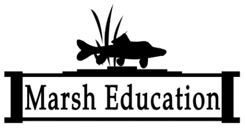 Marsh Education